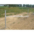 High Quality Barbed Wire Philippines